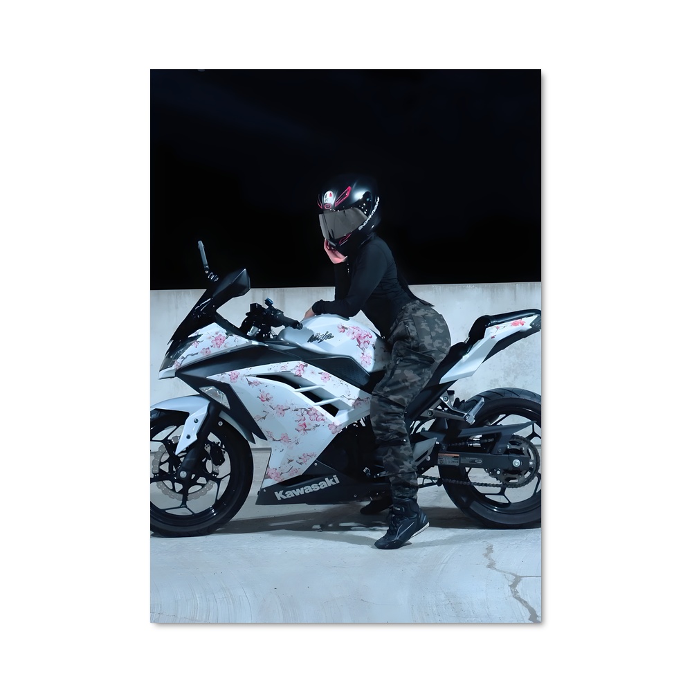 Poster Ride of the Ninja